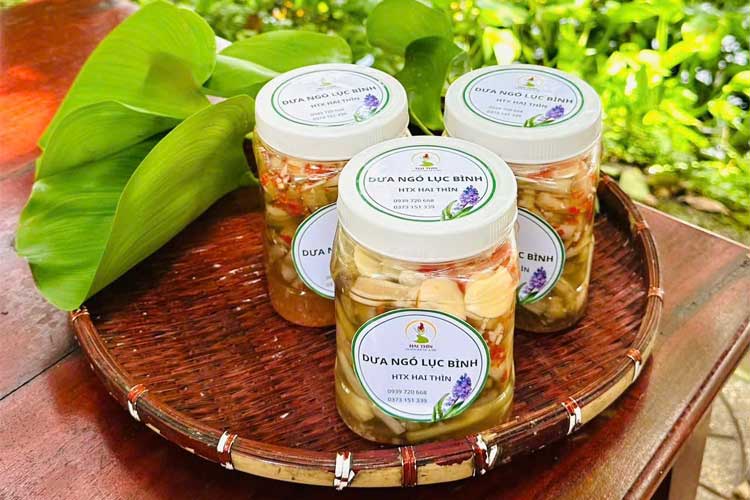 Dưa ngó lục bình